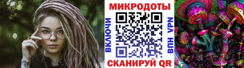 Псилоцибиновые грибы мухоморы  купить наркотики цена  Мышкин 