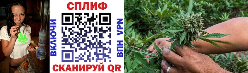 Бошки Шишки White Widow  купить наркотик  Мышкин 